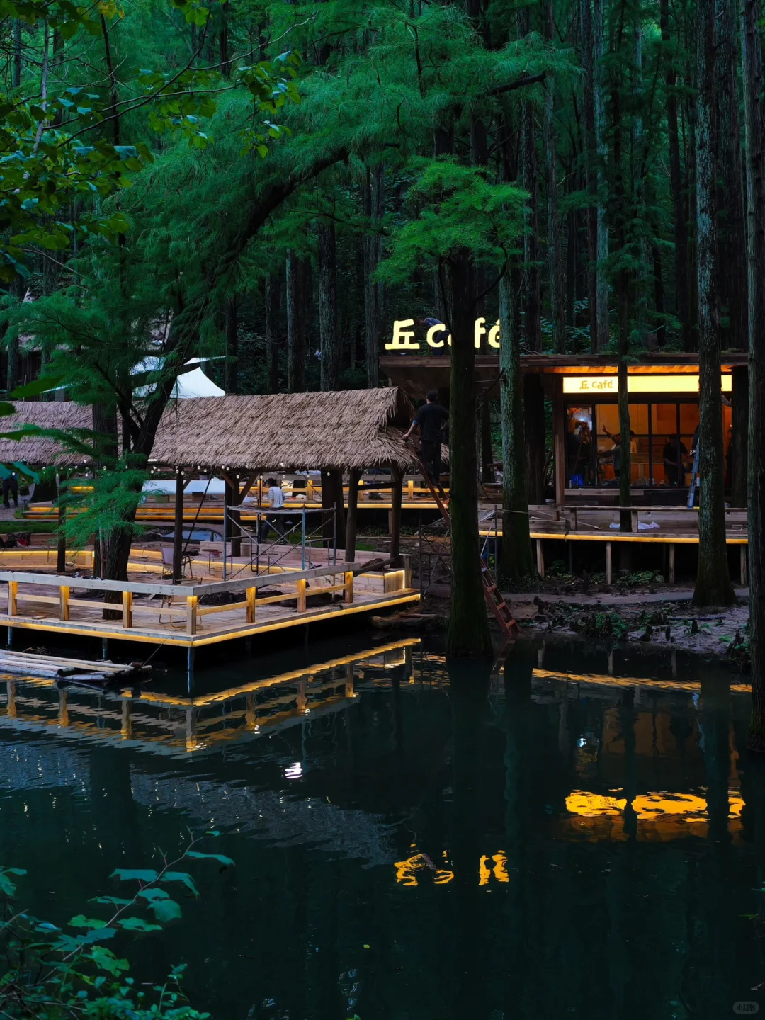 森林里的工作要不要来？请加入我们！招人啦～