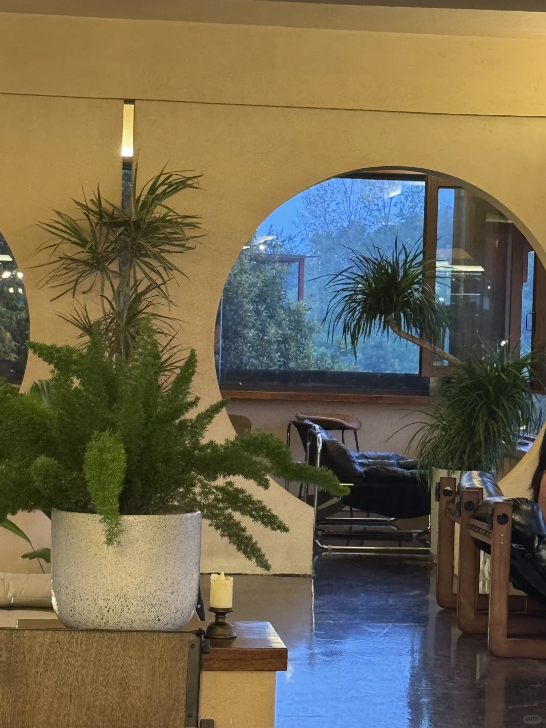 信阳|层楼咖啡招聘信息☕️