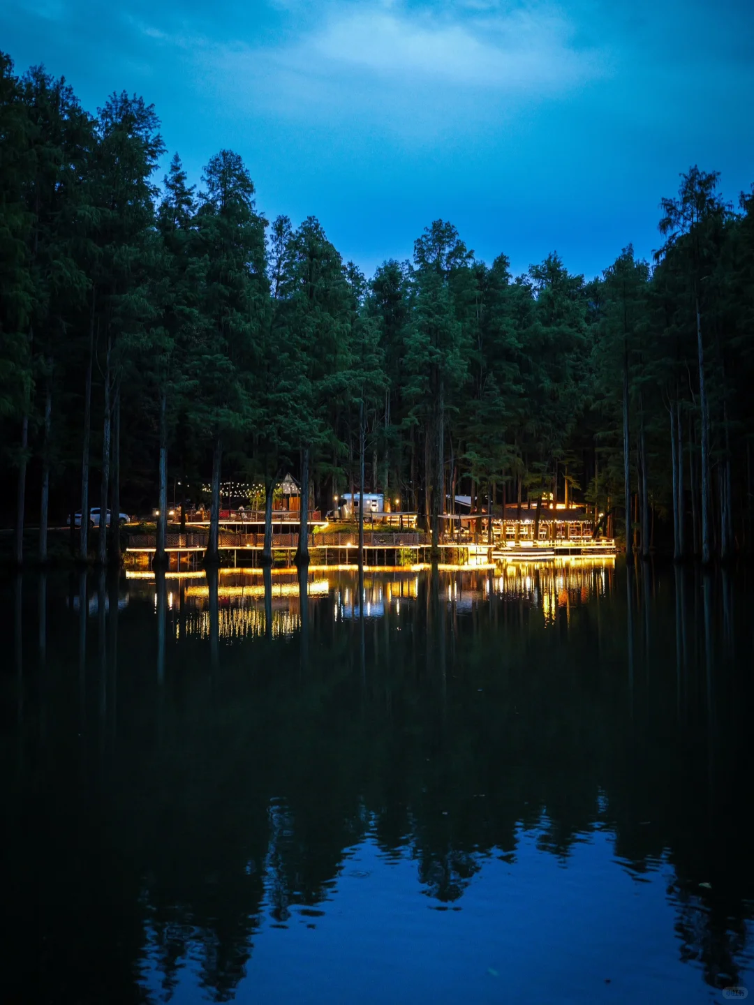 森林里的工作要不要来？请加入我们！招人啦～