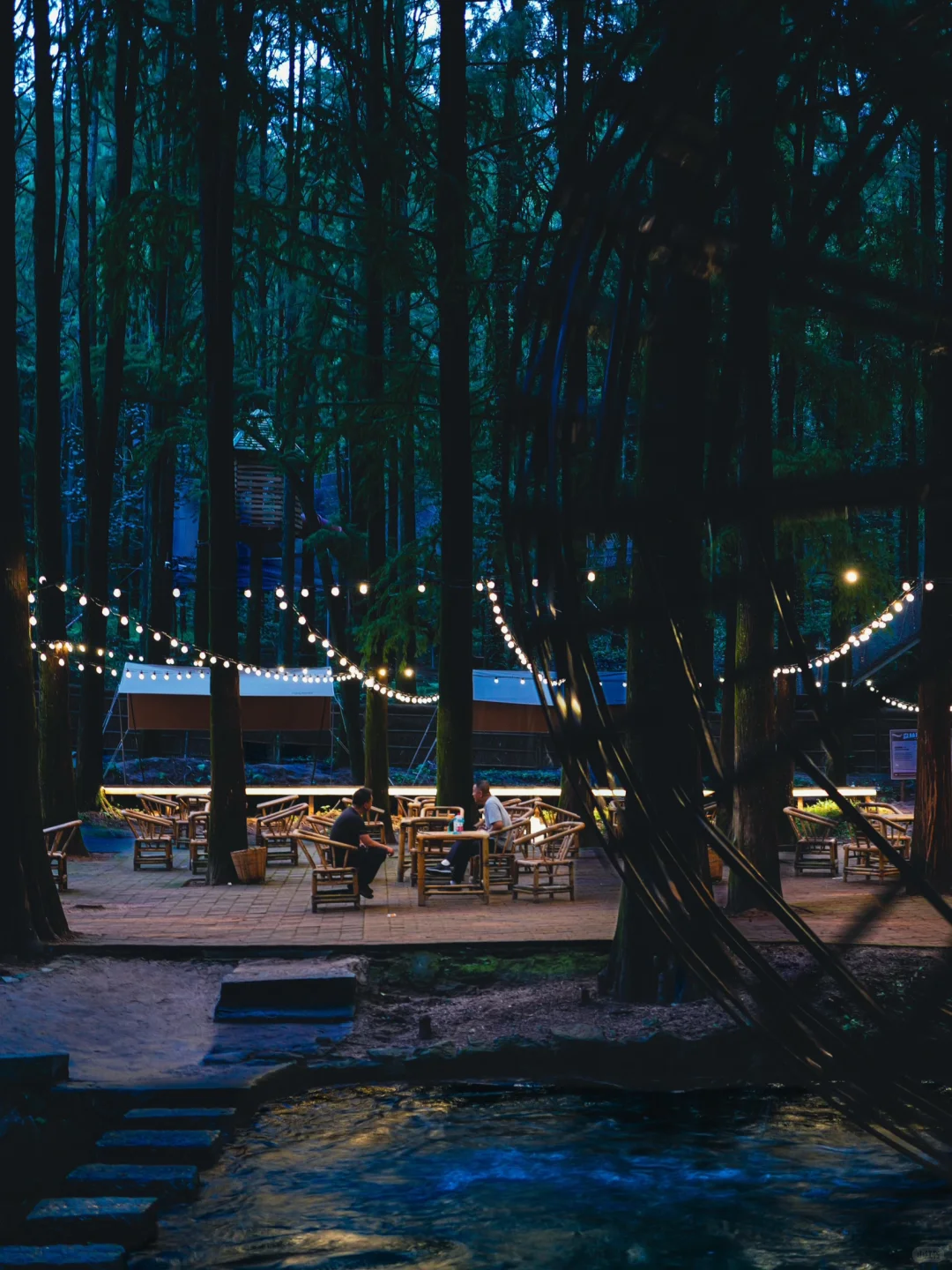 森林里的工作要不要来？请加入我们！招人啦～