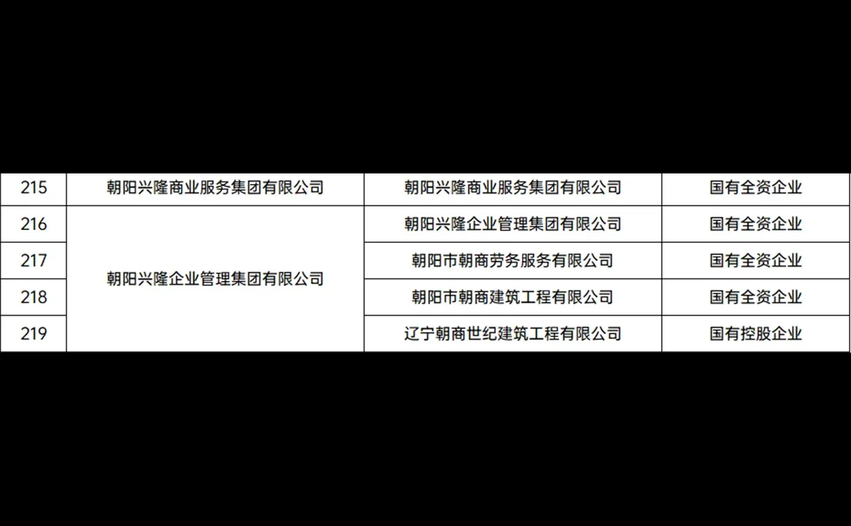 朝阳央国企天团，超燃来袭💥