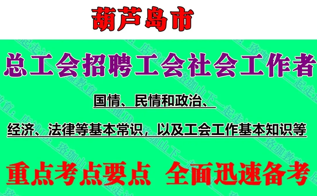 2025年辽宁葫芦岛市总工会招聘工会社会工作