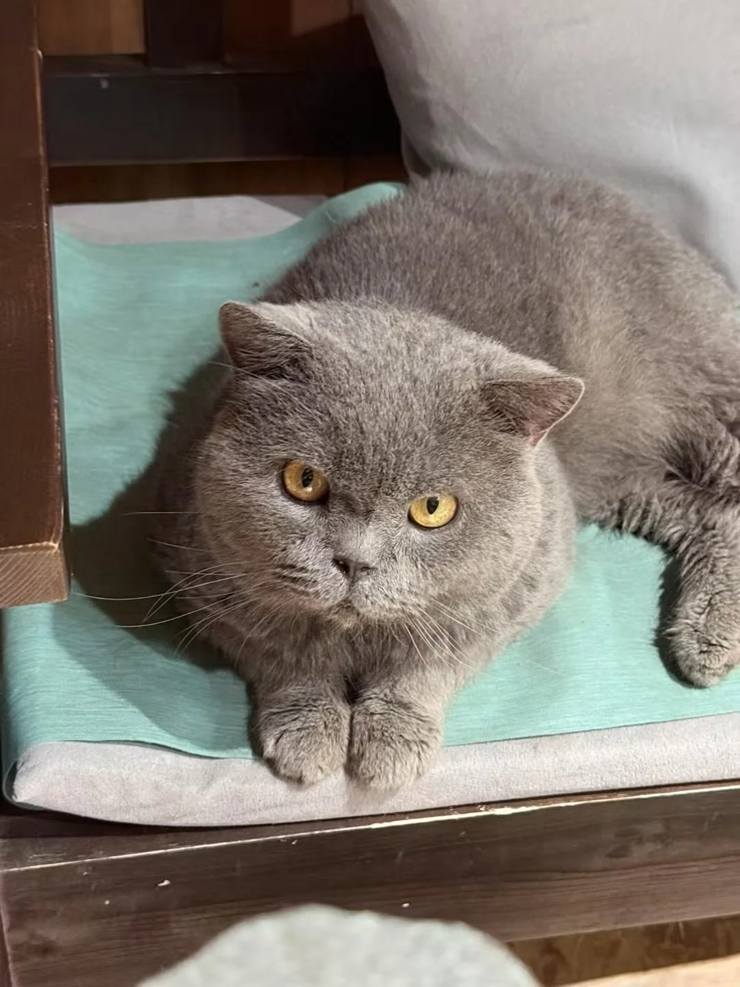 大理民宿招义工！上1休1！不需要打扫卫生