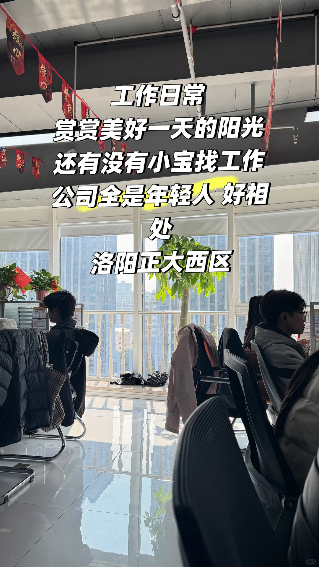 洛阳找工作的小宝看过来