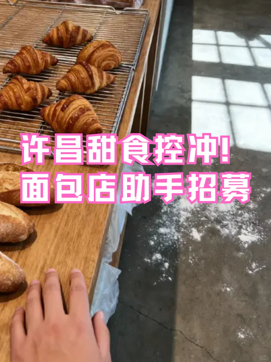 许昌甜食控冲！面包店助手招募🍞