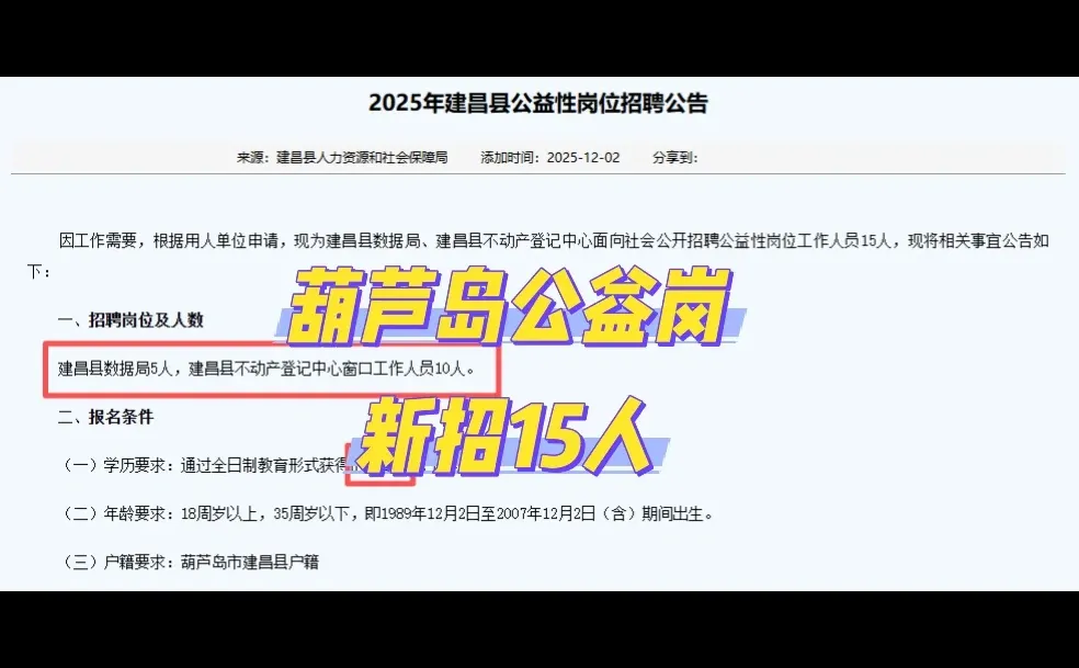 葫芦岛新招公益岗！大专‼️15人！
