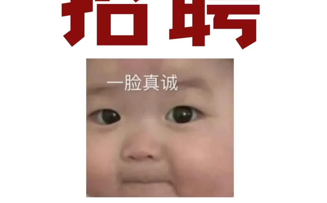 招聘 招聘啦！