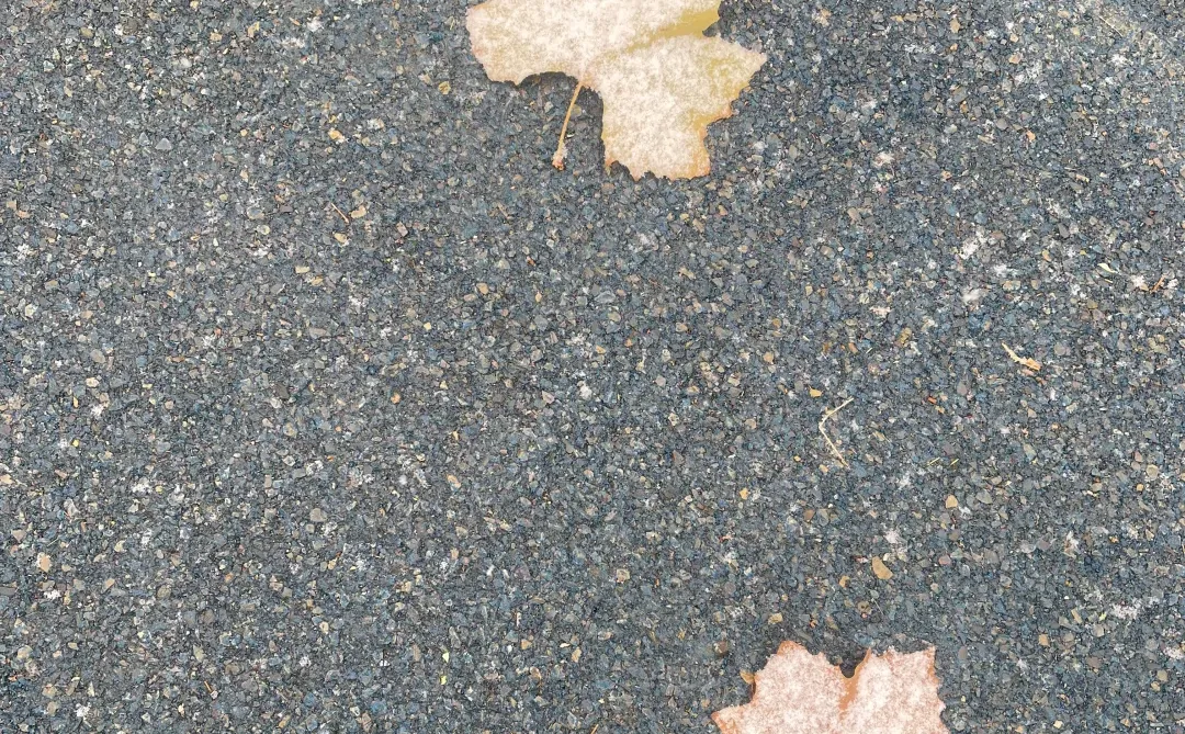 下雪啦❄或许石家庄还有人找工作吗招聘中❗️