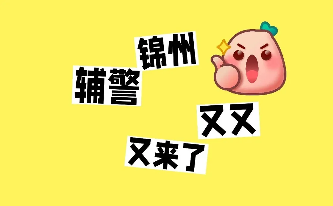 锦州辅警又又又来了