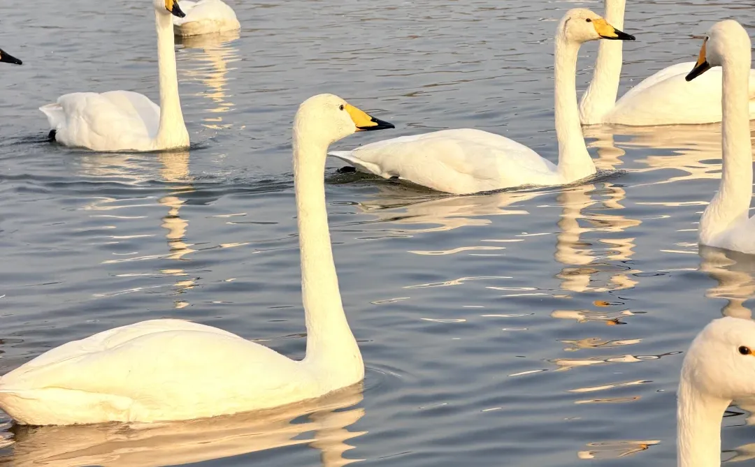太原招聘！找工作速来！ 快过年了 该出来找工