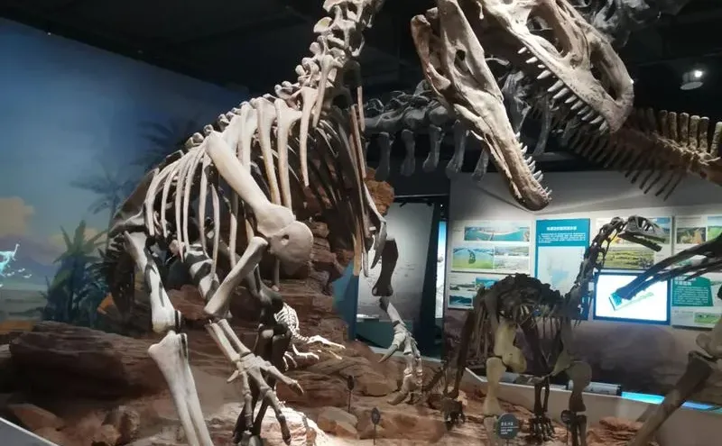 贵阳博物馆工作240/天