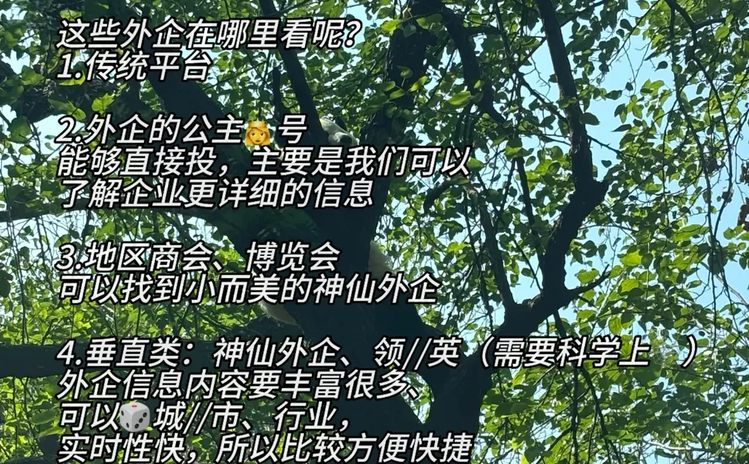 小众但好进的昆明公司