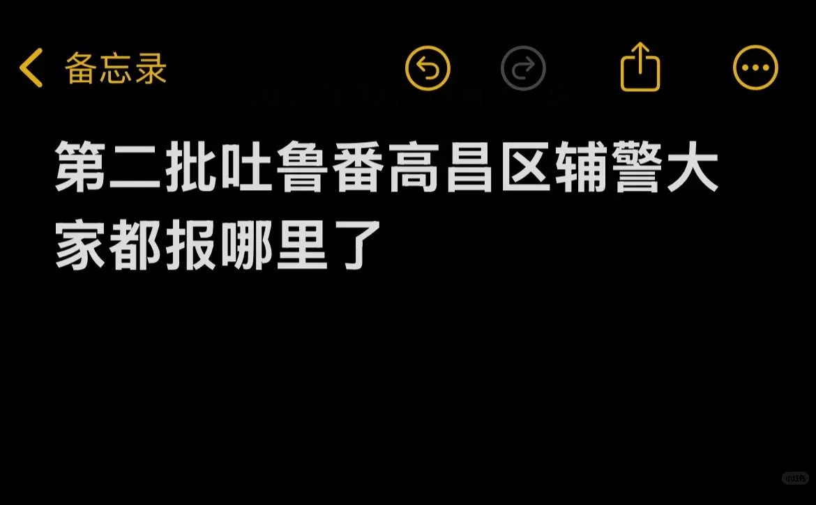 吐鲁番高昌区辅警