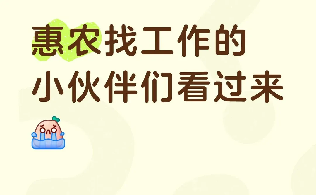 惠农区找工作的宝在哪