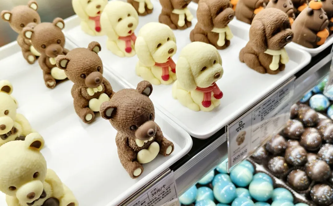 我们开始招聘了