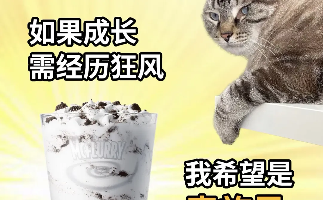 银川麦当劳持续招募ing