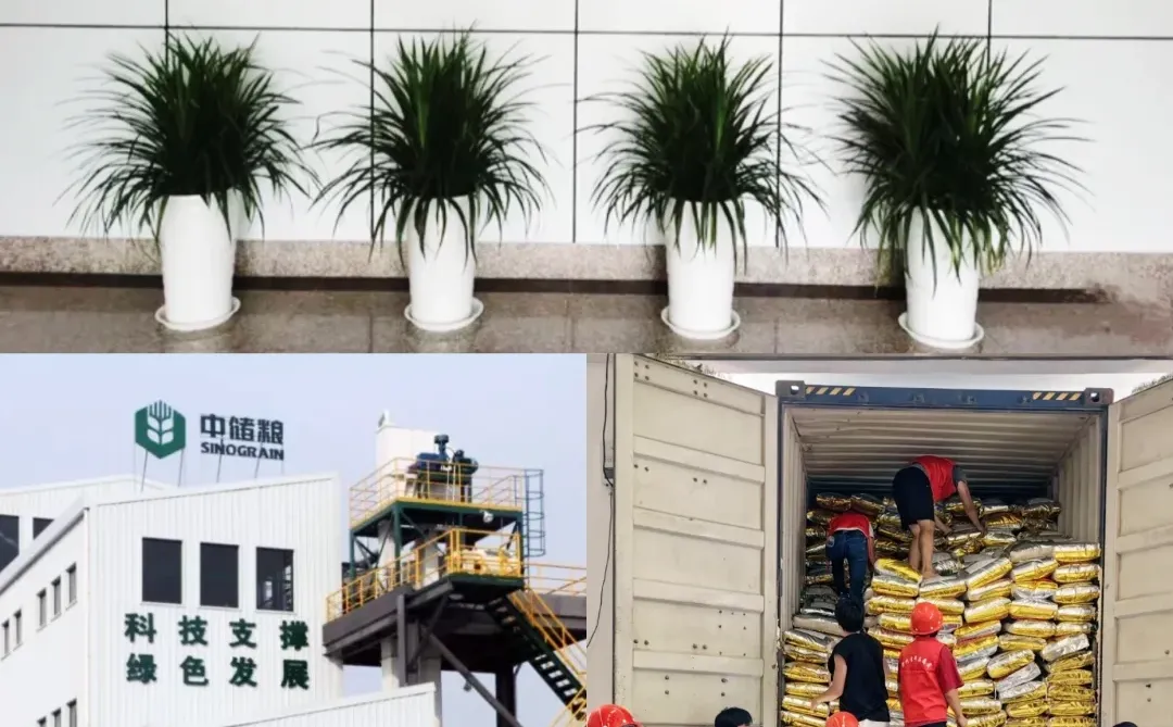 陕西渭南中储粮