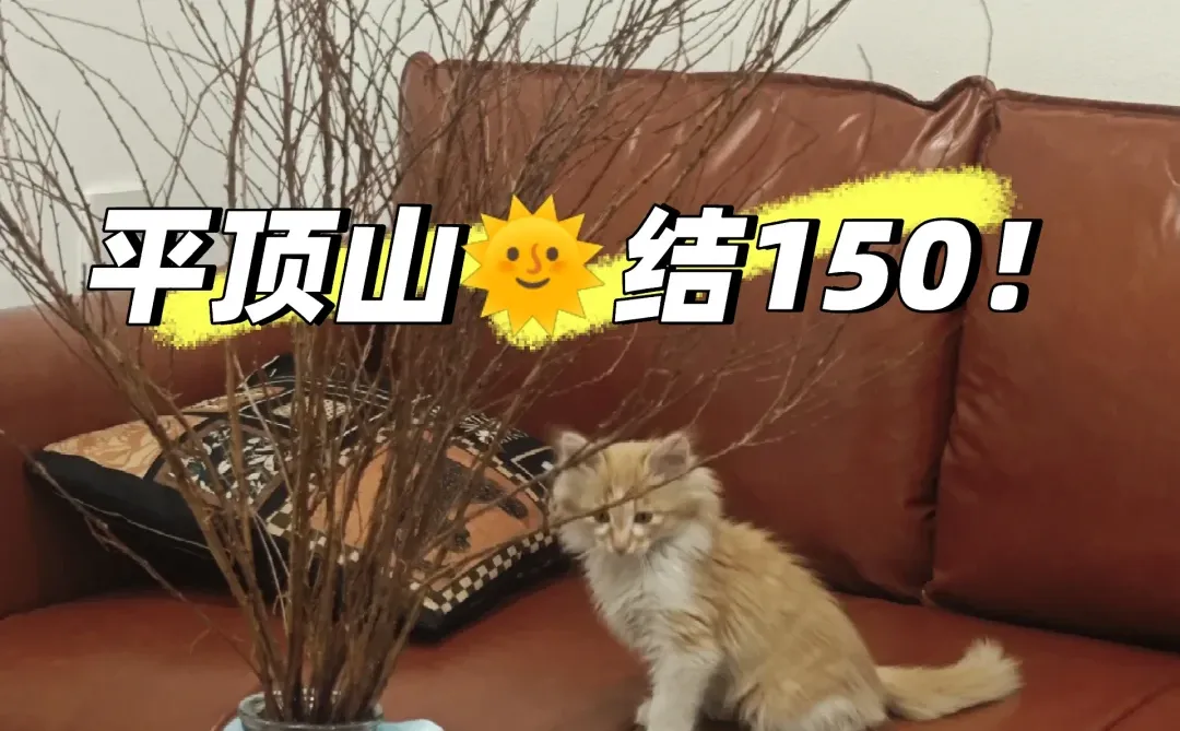 年底咯，平顶山还有没找到工作的宝子吗！