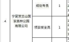 宁夏旅游投资集团找16人
