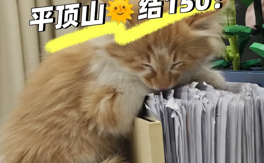 平顶山🌞结150！！剪纸看过来啦！！