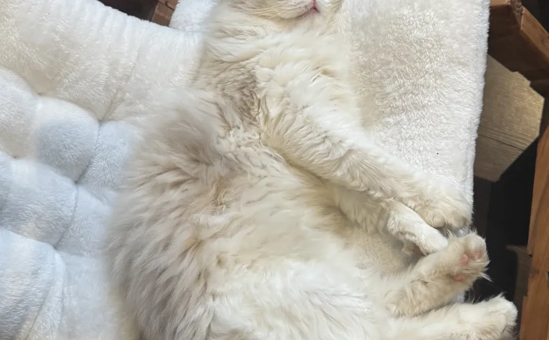 平顶山｜招聘 全职兼职皆可