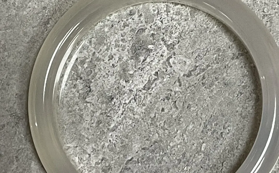 生机盎然超灵动