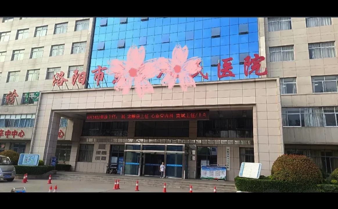 洛阳东方🏥召档案管理员，有愿意来的吗～