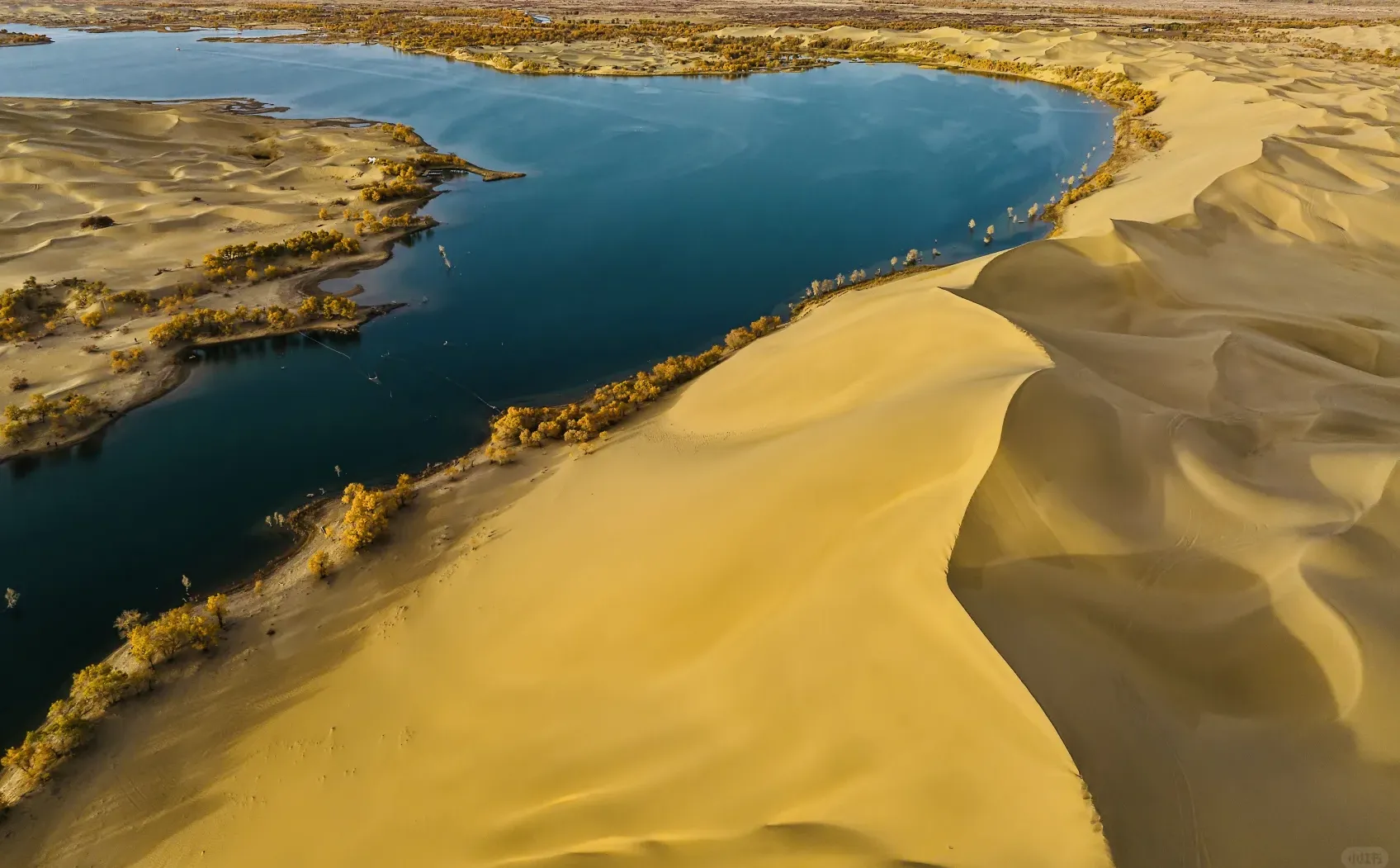 新疆旅行社招聘