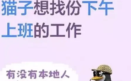 夜猫子们想上夜班的快来私信我吧