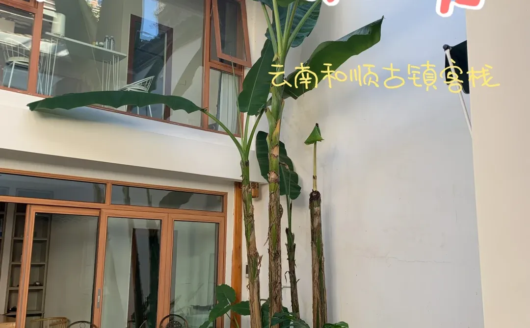 云南和顺古镇义工招募