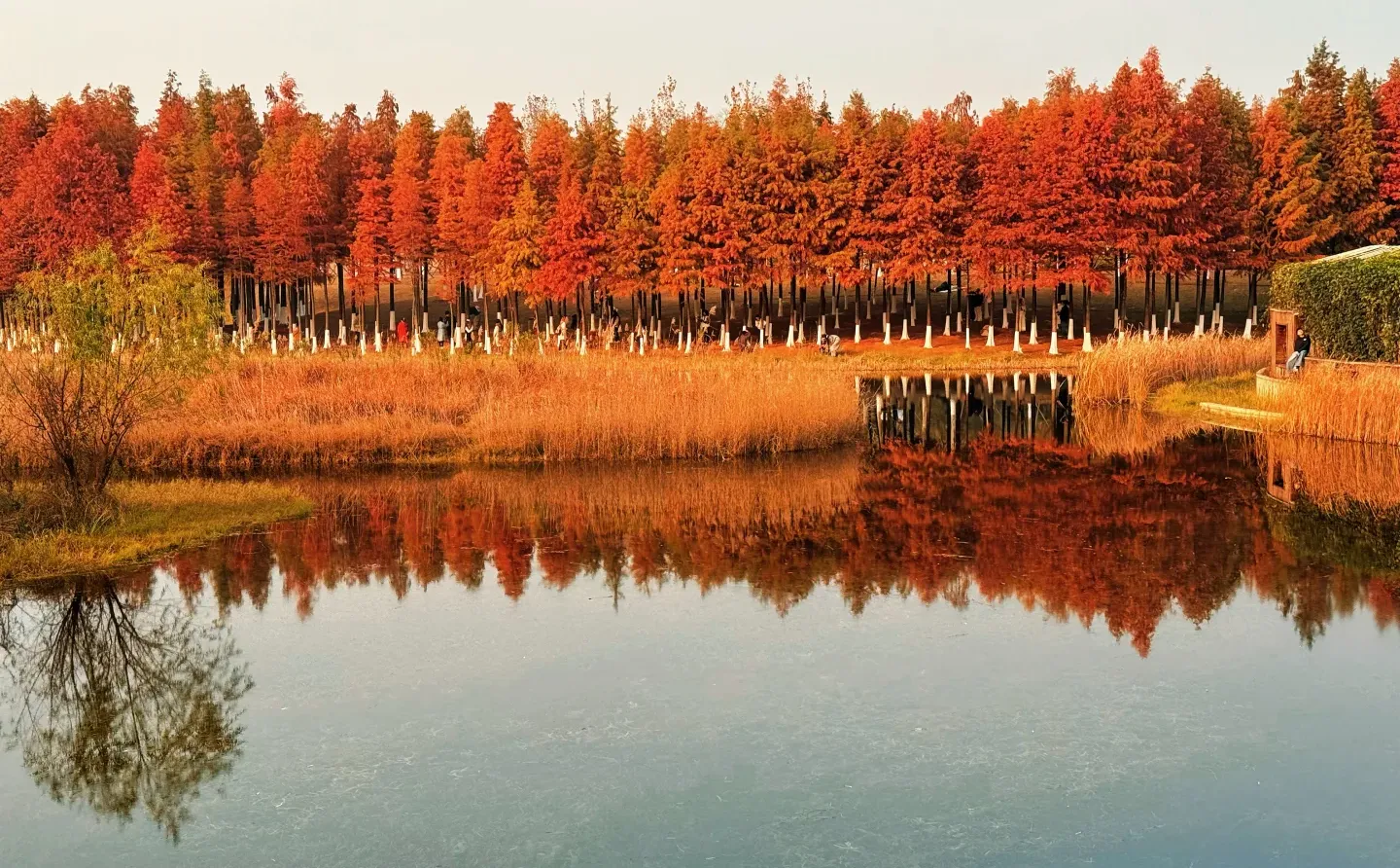 湘潭潮漫酒店招人啦