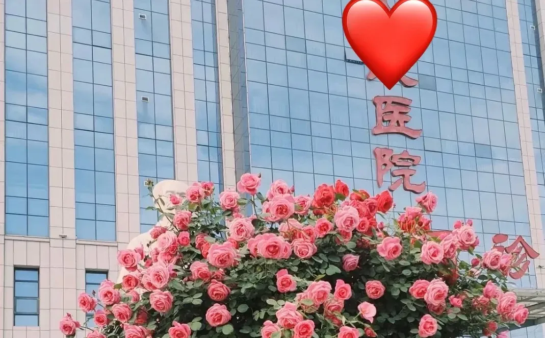 睢县公立🏥：文员缺岗
