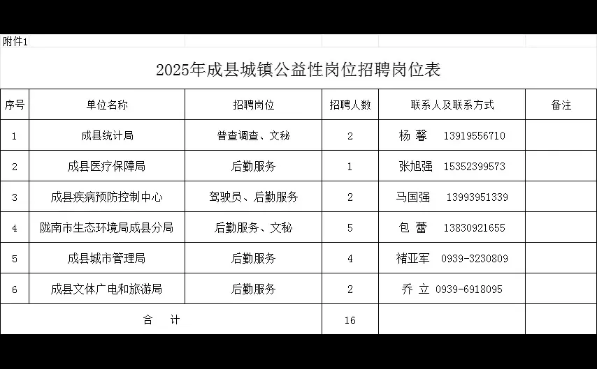 2025年甘肃陇南成县招聘公益16人公告