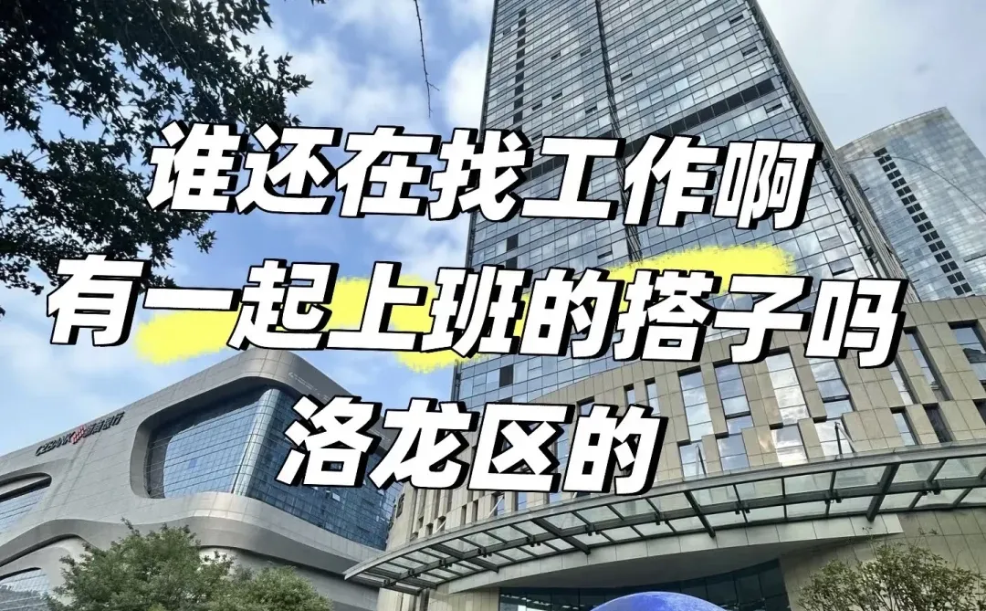 洛阳找工作的小宝看过来