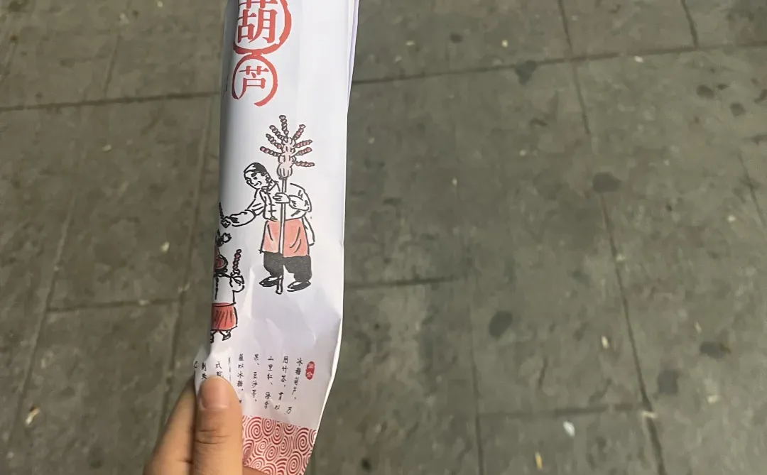 周口城乡一体招教