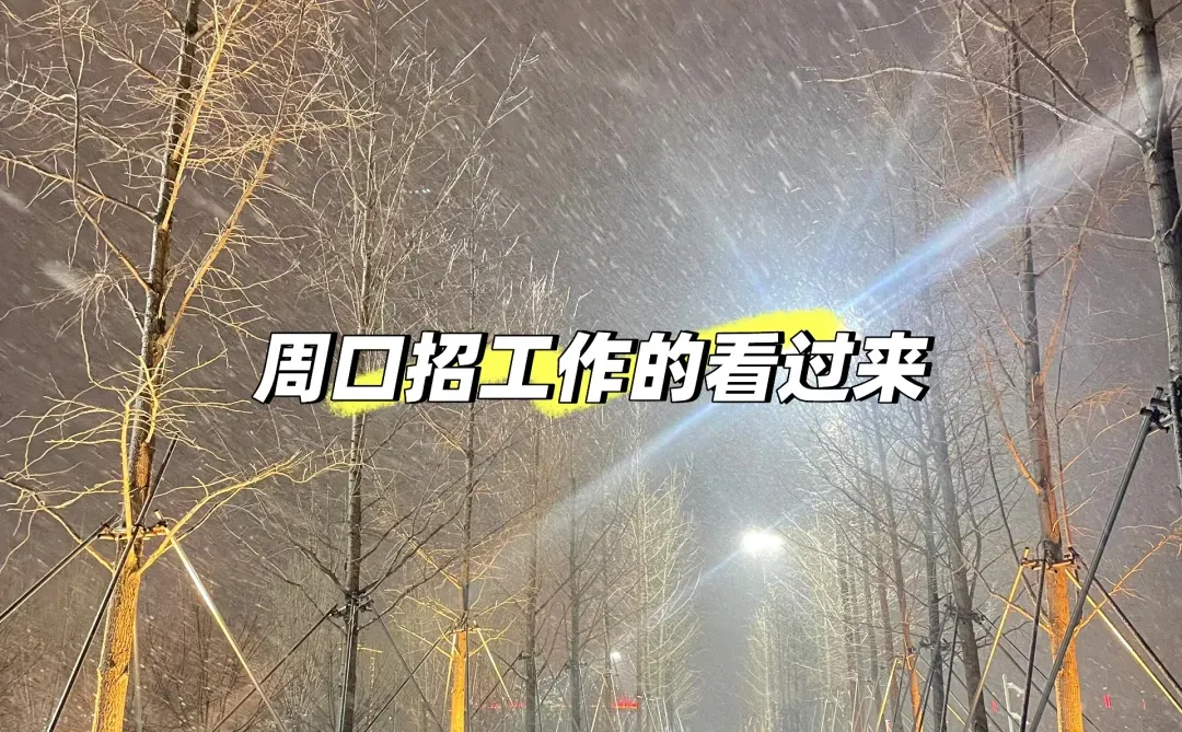 周口川汇区日结