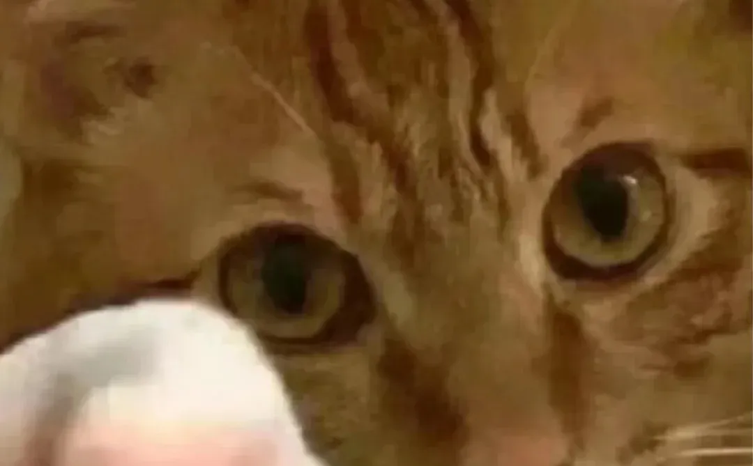 招不到人的时候，没有一个候选人是无辜的