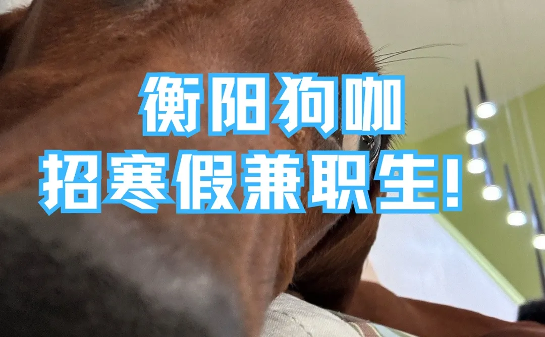 衡阳狗咖招寒假兼职生！