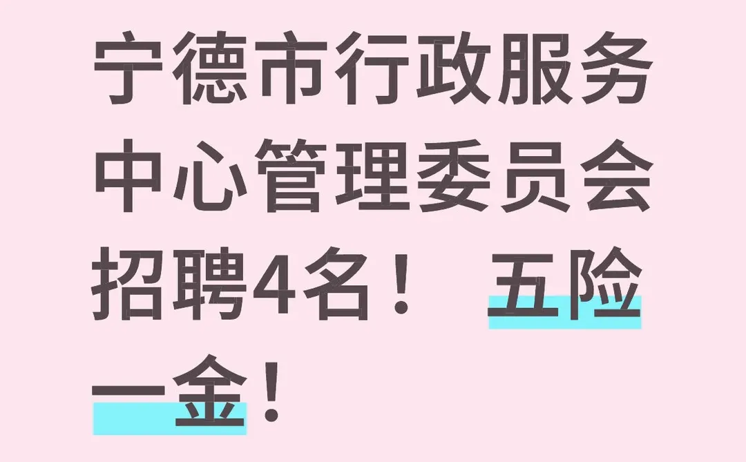 宁德市区编外招聘啦