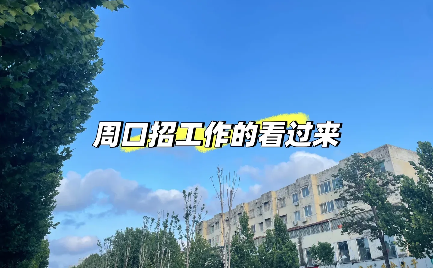 周口川汇区招日结工