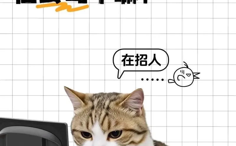 牡丹区内招兼职，强者的一天:选一个身份去上