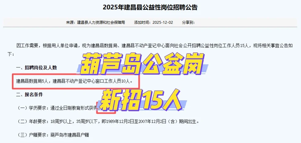 葫芦岛新招公益岗！大专‼️15人！