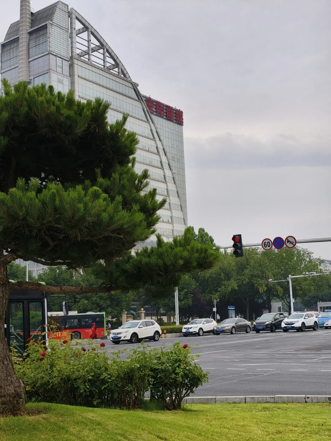 在安阳｜找到工作啦，只是…