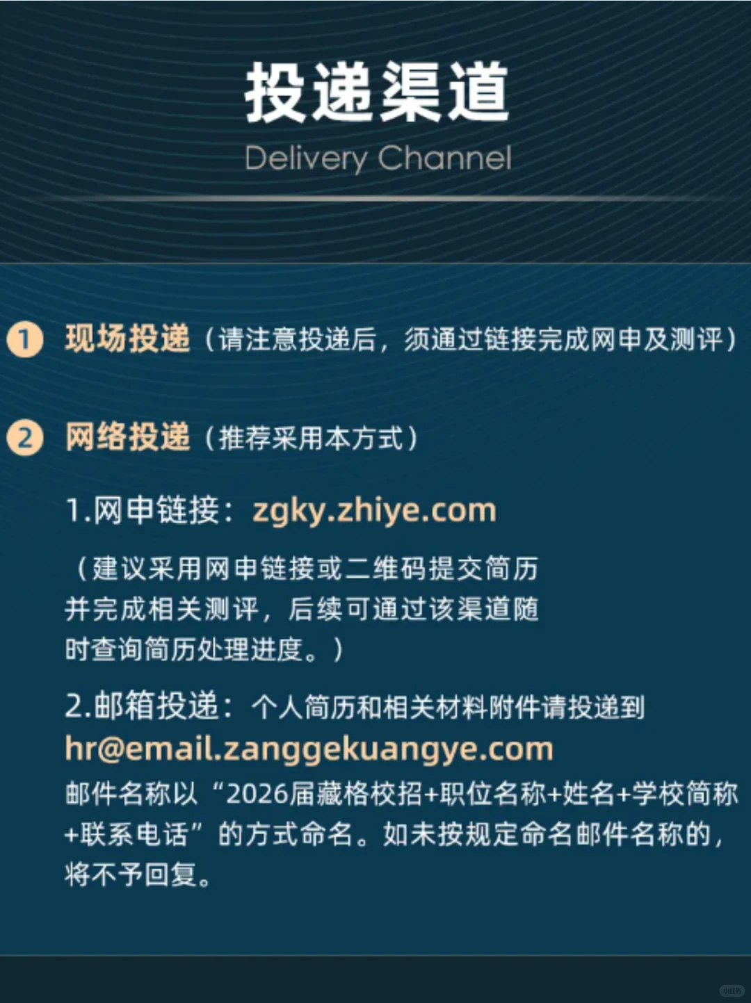 藏格矿业2026届校园招聘开始啦~