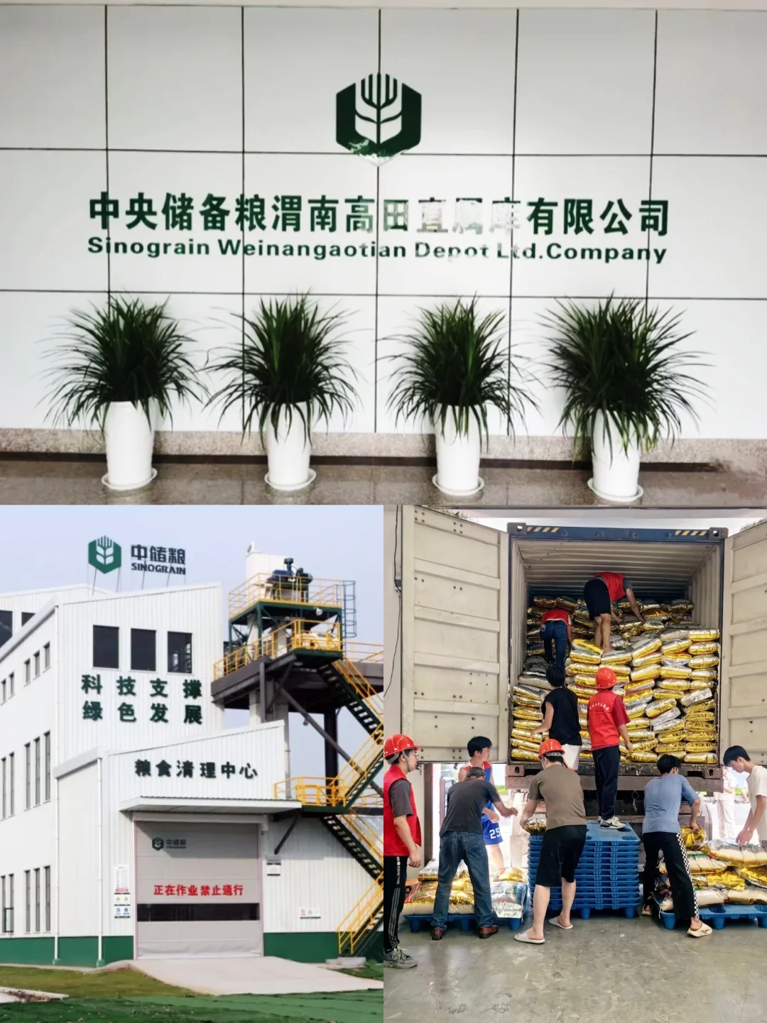 陕西渭南中储粮