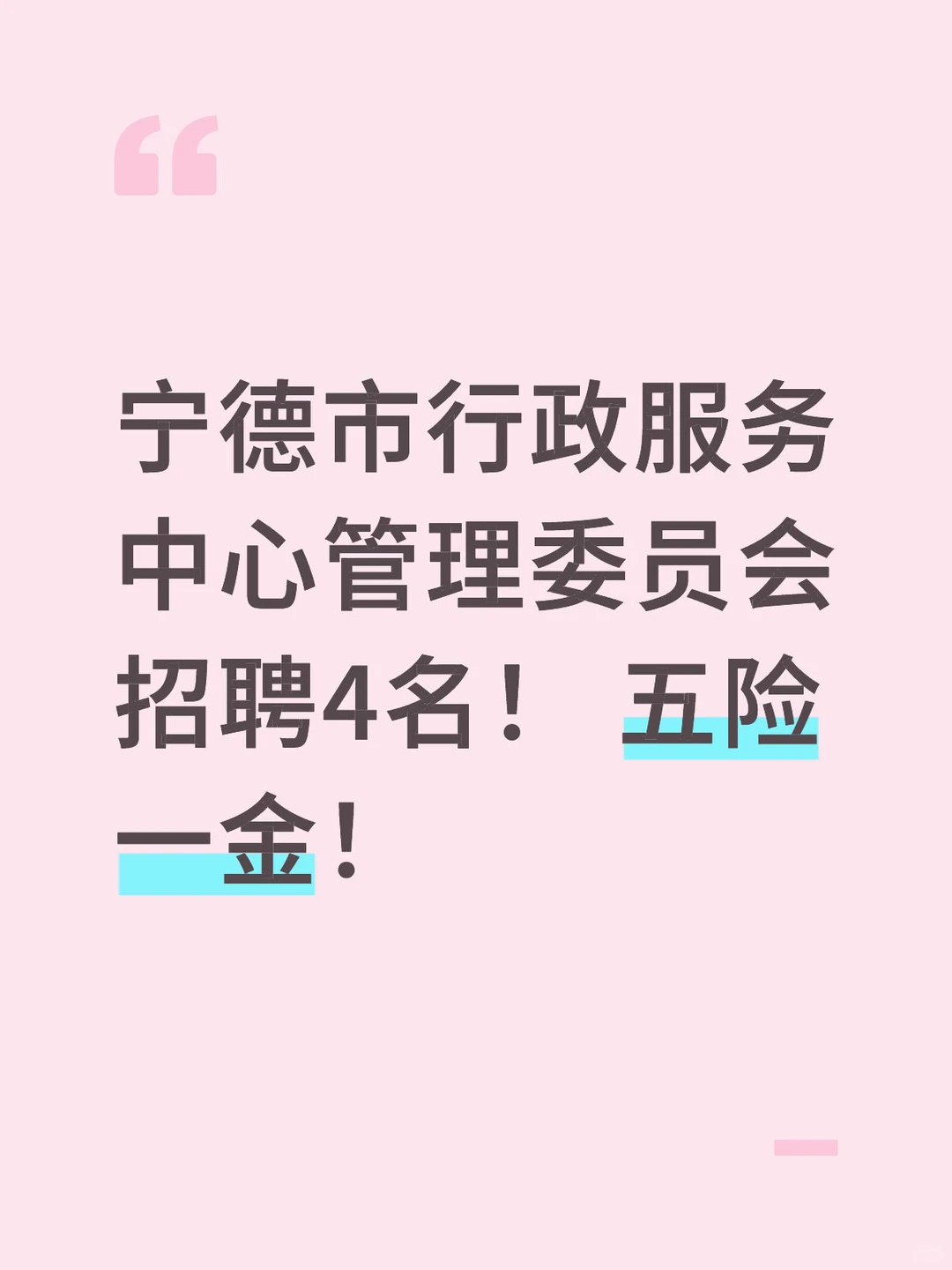 宁德市区编外招聘啦