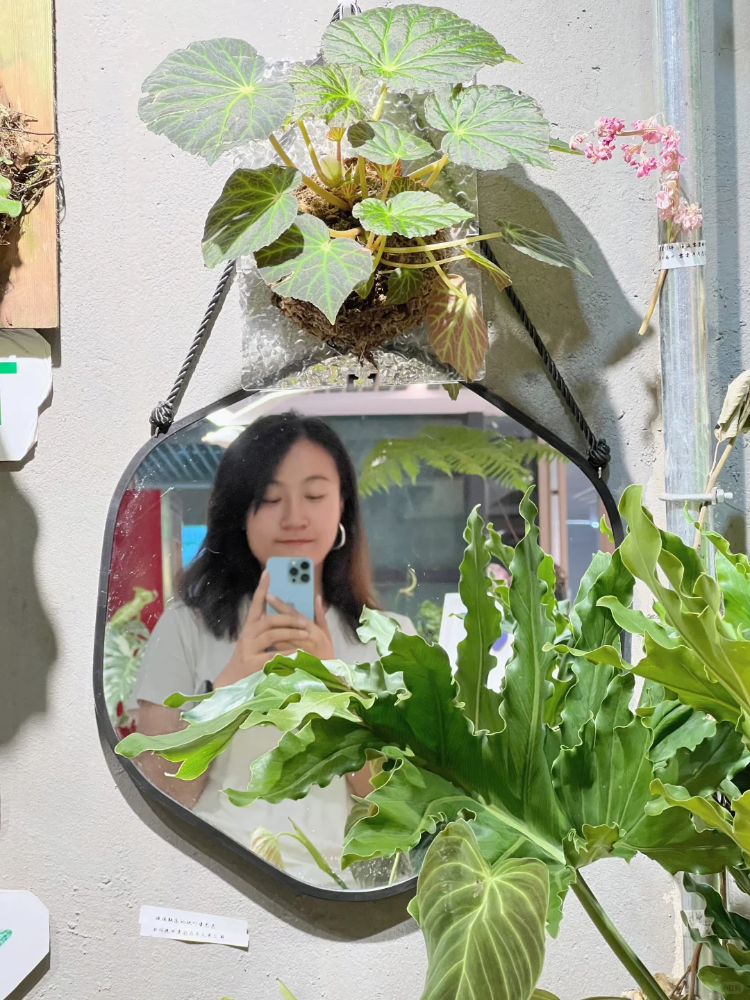 寻找一起向上生长的伙伴🌱