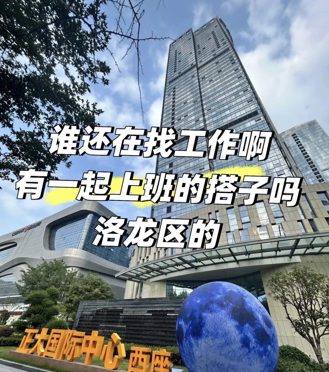 洛阳找工作的小宝看过来