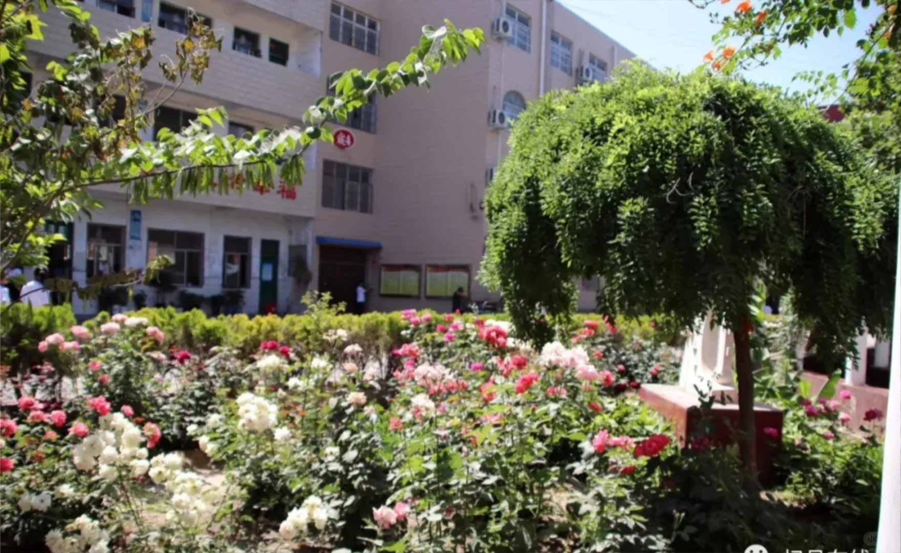 杞县春蕾学校招聘八、九年级语文教师！