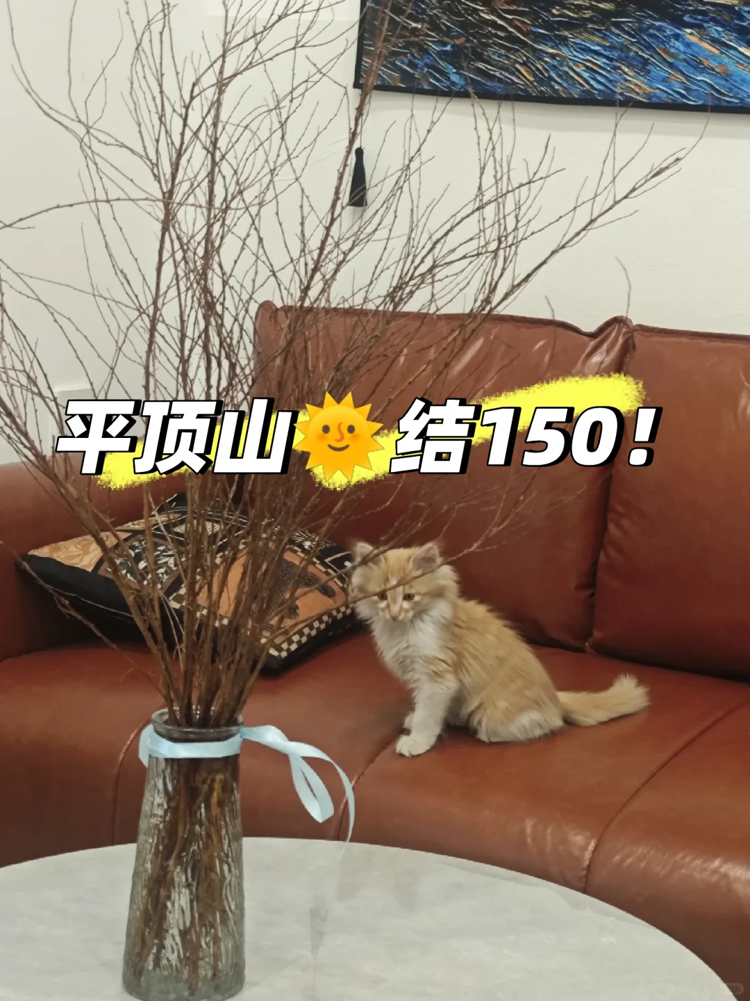 年底咯，平顶山还有没找到工作的宝子吗！